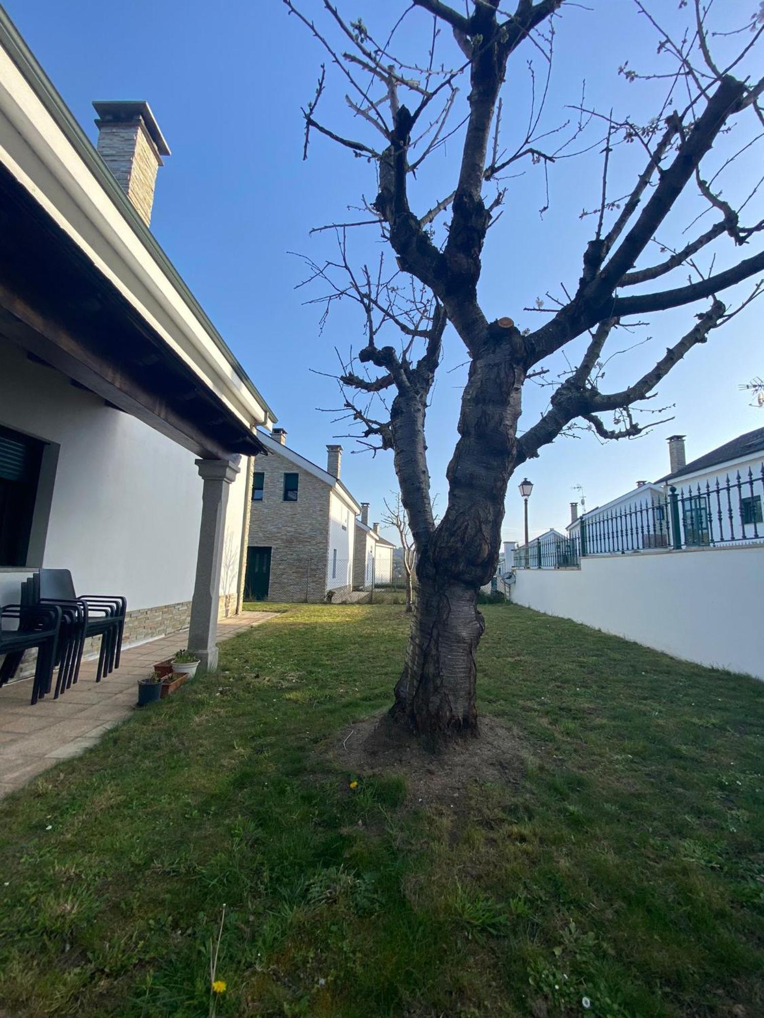 Casa Do Aloumino Villa Портомарин Екстериор снимка